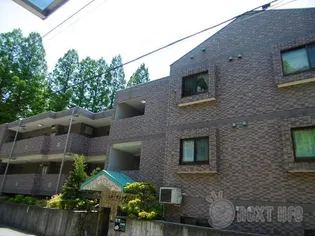 スターダスト晴貞の画像