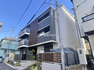 ベル ビスカスの画像