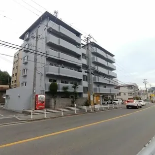 ベルトゥリー若草の画像