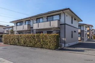 ピュアコートの画像