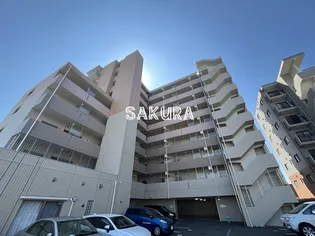 エヴァーグリーン新羽の画像