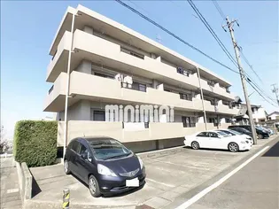 セントラルポンドの画像