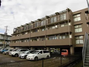 LIVERPOOL南市川の画像