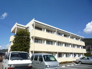 バンブービレッジ大村【1階】の外観