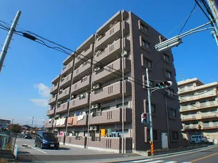 Y&M TAKAHASHI Iの画像