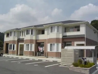 クローバーの画像