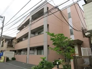 サン ルピナスの画像