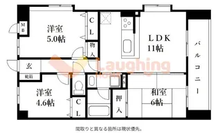 エンゼルハイム久留米東【7階】の間取り