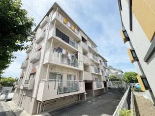 スカイプラザ若松【4階】の外観