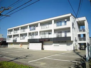 プラドール92の画像