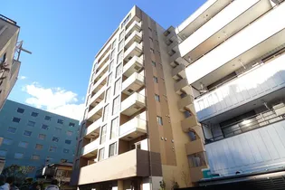 エルザ柏の画像