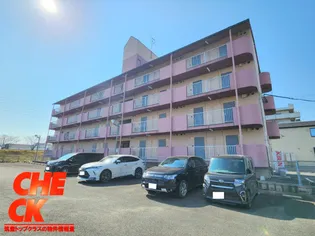 フラット2古賀【4階】の外観