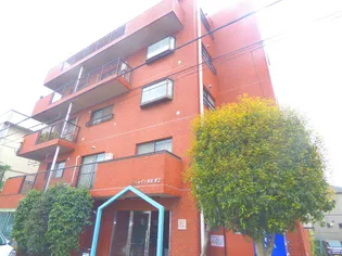 コーラルスターガーデンの画像