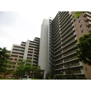 スターコート豊洲の画像