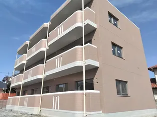 ティー オリーブの画像
