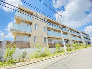 ステラ美光の画像