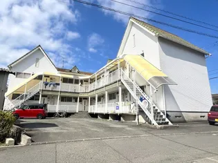 センチュリーの画像