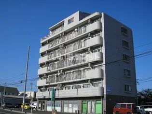 グレースJUNの画像