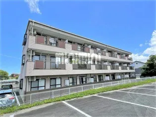 Limpia城南【3階】の外観