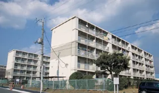 平塚田村の画像