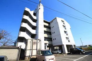 その木ハイツの画像