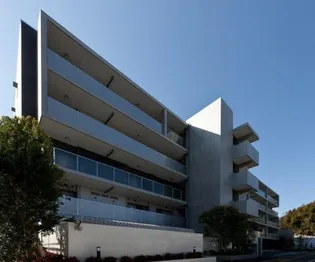 エクセラ鎌倉植木の画像