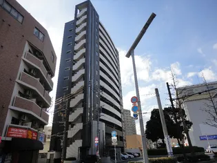 フェルトの画像