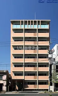 コリドールサンの画像