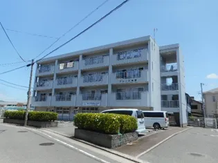 グレース吉田の画像