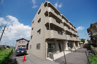 Y&Mファーストステージの画像