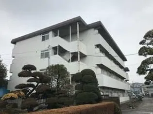 ドミトリー九沢の画像