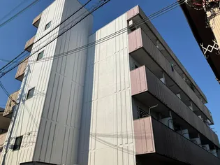 HALE KADOMAの画像