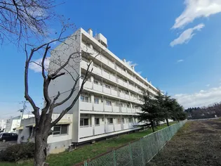 ビレッジハウス北上第二1号棟【5階】の外観