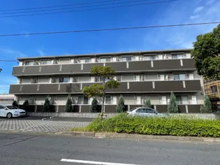 アムールの画像