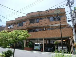 プラムフラワーガーデンの画像