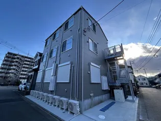 モンステラひばりの画像