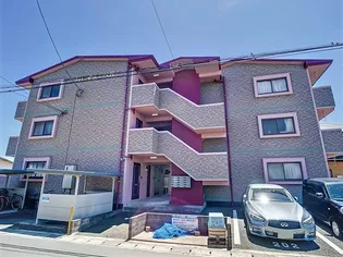 グレイス ベルの画像