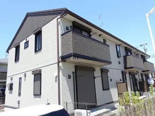 プルメリアの画像