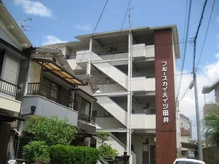 ブルースカイハイツ田井の画像