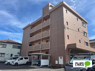 ティエラ ナタールの画像