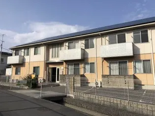クローバの森の画像