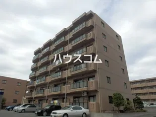 サンセールの画像