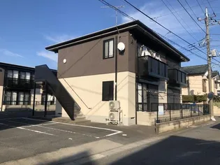 ブルーバードの画像