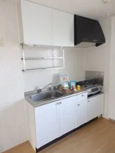 グランディール A棟【2階】のキッチン