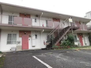 サンホワイトBの画像