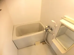 ブロッサムガーデン利平治【1階】の風呂