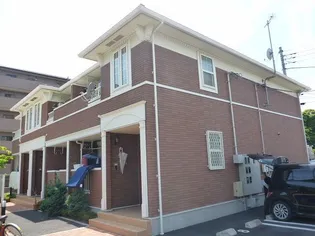 リバー アイランドの画像