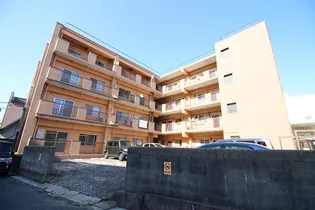 フェルトの画像