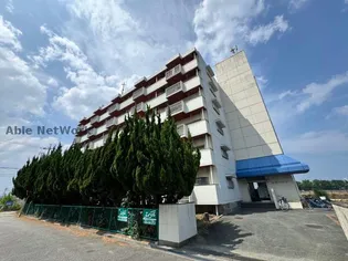 島崎ハイツ【1階】の外観