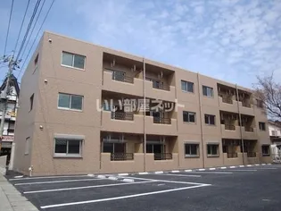 Y&M GENTRY AYUの画像